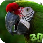 parrot 3d video live wallpaper android application logo